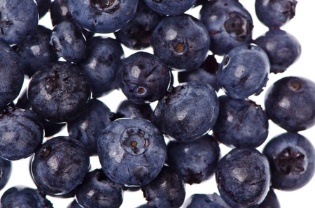 Extreme macro of Blueberries on white backgroundの写真素材