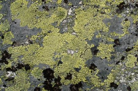 Grunge old stone background
