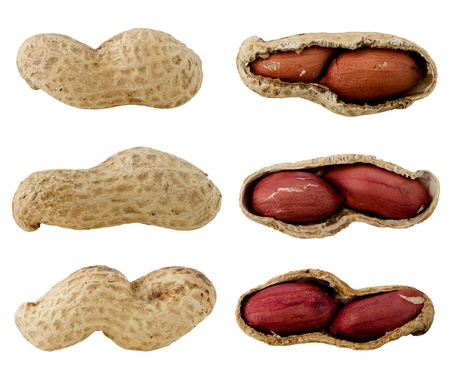 Peanuts isolated on white background.の写真素材