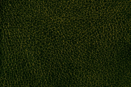Dark green background or leather texture.の写真素材