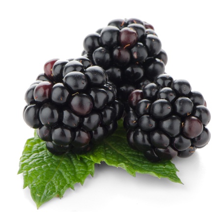 Fresh berry blackberry with green mint leaves isolated on white background. Fresh berry blackberry with green mint leaves isolated on white background.