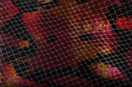 Closeup of snake Skin Leather Texture.