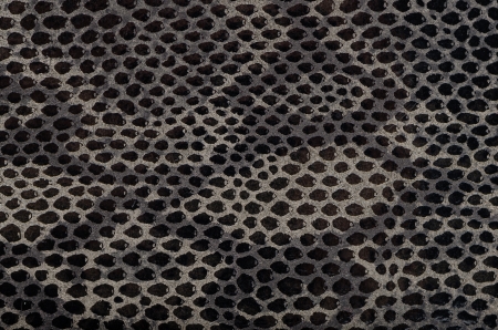 Closeup of snake Skin Leather Texture.