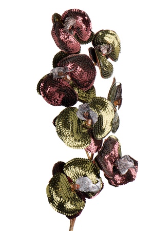 Green and purple Christmas decoration branches on white background.の写真素材