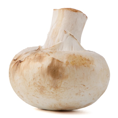 Champignon mushroom on white background.の写真素材
