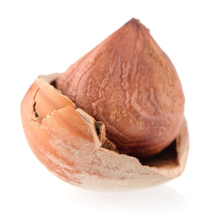 Tasty hazelnuts on a white reflective background.の写真素材