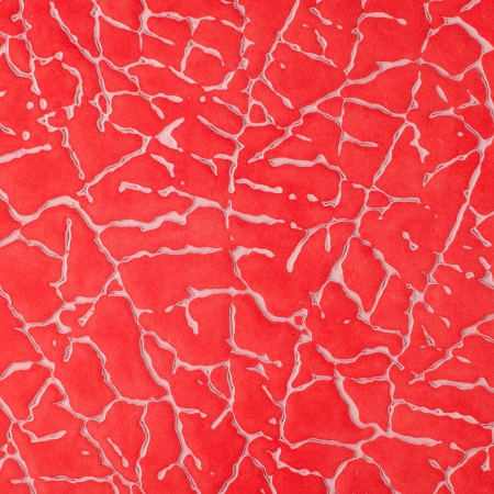 Red leather texture closeup detailed background.の写真素材