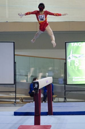 ANADIA, PORTUGAL - JUNE 21: Chunsong Shang (CHN) during the Art Gymnastics FIG World Cup Challenge on june 21, 2013 in Anadia, Portugal.のeditorial素材