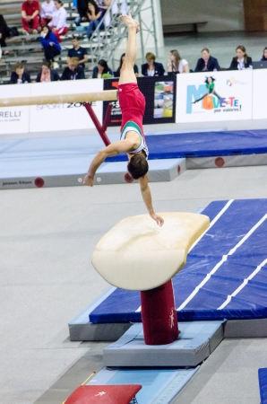ANADIA, PORTUGAL - JUNE 21: Javier Quesada (MEX) during the Art Gymnastics FIG World Cup Challenge on june 21, 2013 in Anadia, Portugal.のeditorial素材