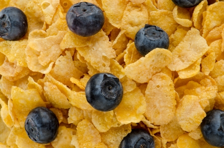 Corn cereal and blueberries for healthy breakfast.の写真素材