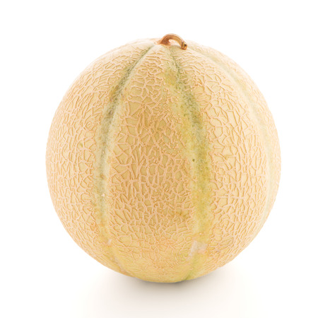 Juicy honeydew melon on a white background.の写真素材