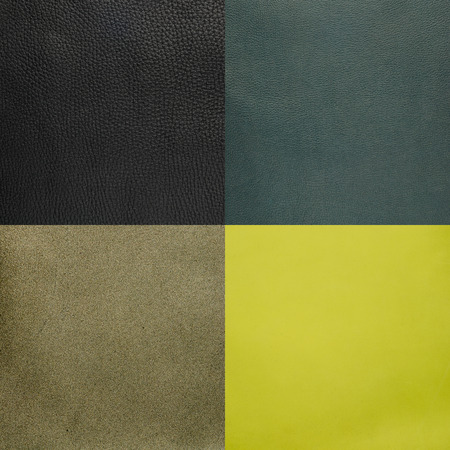 Set of green leather samples, texture background.の写真素材