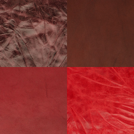 Set of red leather samples, texture .の写真素材
