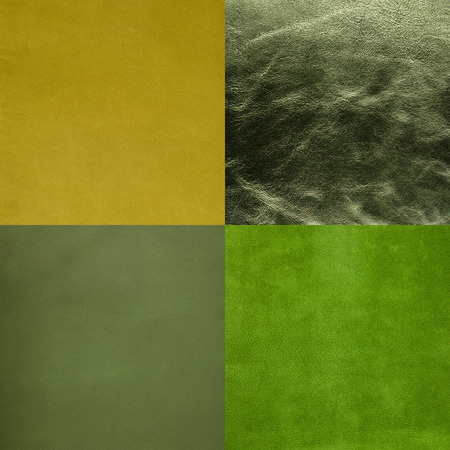 Set of green leather samples, texture background.の写真素材