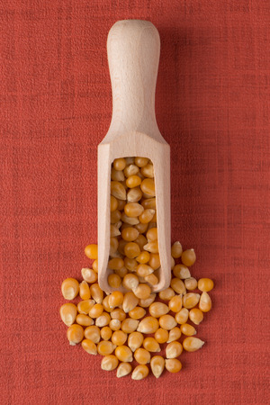 Top view of wooden scoop with corn against red vinyl background.の写真素材