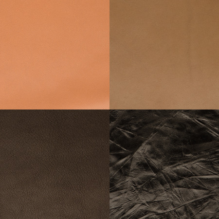 Set of brown leather samples, texture background.の写真素材