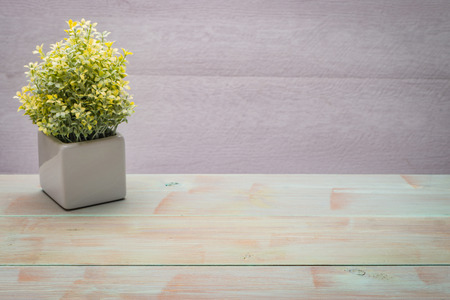 Small decorative plant in a ceramic vase on a wooden table.