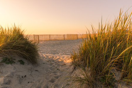 Landscape of Furadouro beach, Portugal at sunset.