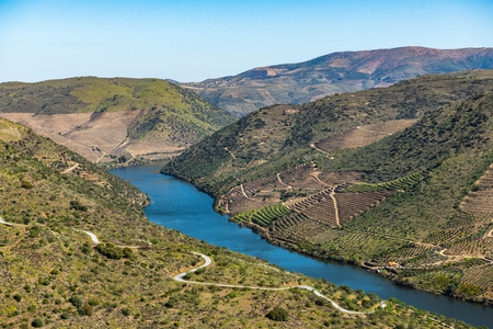 River Douro next to the mouth of the river Coa. Vila Nova de Foz CÃ´a Municipality. Douro Region.の写真素材