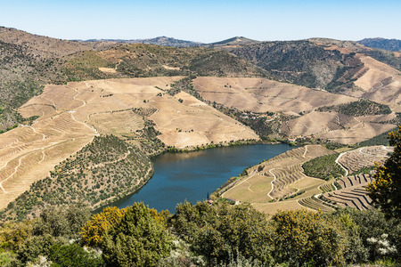 Viewpoint of Vargelas allows to see a vast landscape on the Douro and its man-made slopes. Douro...
