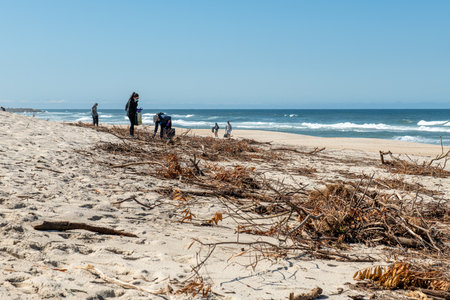 OVAR, PORTUGAL - CIRCA APRIL 2021: Activity of Portuguese volunteer group keeping plastic waste out...