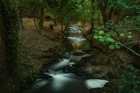 Water stream of Lourido river in the park of the Estalisnau fountain in Maceda - Ovar, Portugal.