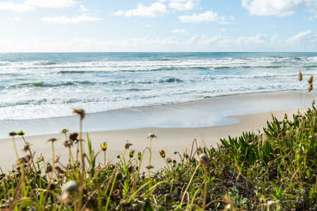 Landscape of Sao Pedro de Maceda beach. Ovar, Portugal.の写真素材