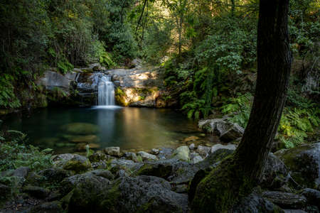 Beautiful water stream in PoÃ§o da Cilha waterfall, Manhouce, SÃ£o Pedro do Sul, Portugal. Long exposure smooth effect. Idyllic green scenery, mountain forest landscape.の写真素材