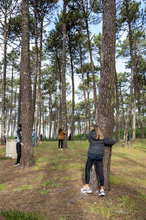 OVAR, PORTUGAL - 30th of JANUARY 2022: People hugging trees during the protest against the cutting of trees in the forest perimeter of the dunes of ovar, Portugal.のeditorial素材