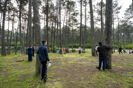 OVAR, PORTUGAL - 30th of JANUARY 2022: People hugging trees during the protest against the cutting of trees in the forest perimeter of the dunes of ovar, Portugal.のeditorial素材