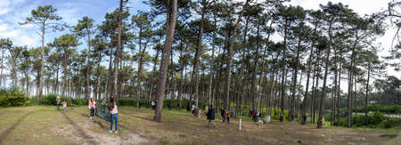 OVAR, PORTUGAL - 30th of JANUARY 2022: People hugging trees during the protest against the cutting of trees in the forest perimeter of the dunes of ovar, Portugal.のeditorial素材