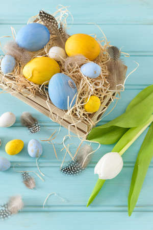 Easter blue and white eggs in wooden box and white tulips.