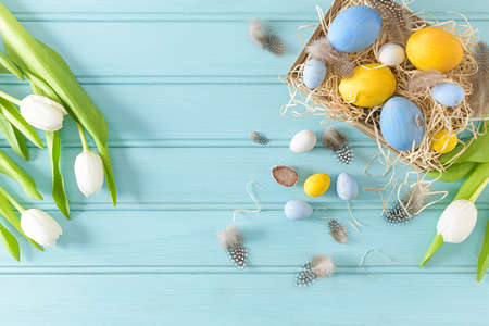Easter background with blue and white eggs in wooden box and white tulips. Top view with copy space.の写真素材
