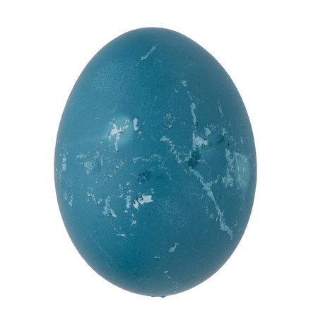 Blue painted egg isolated on white background.の写真素材