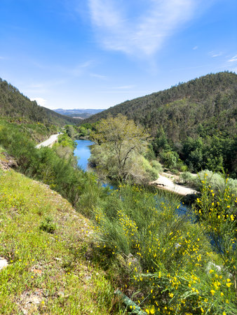 Point of view shot of riding a bicycle in Sever do Vouga, Portugal. Features a wide view of the bike track and the natural scenery.の写真素材