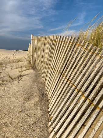 Wood sand dunes protection fence on Furadouro beach, Ovar - Portugal.の写真素材