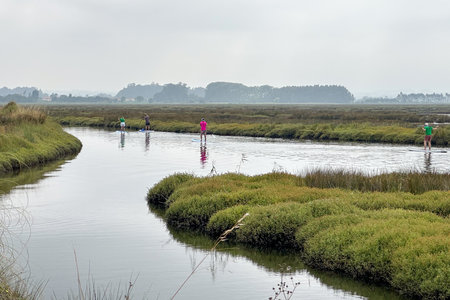 MURTOSA, PORTUGAL - CIRCA JUNE 2023: Tourists practicing stand up paddle on a walk through the channels of Ria de Aveiro. Tourism is a fundamental economic activity in Portugal.のeditorial素材