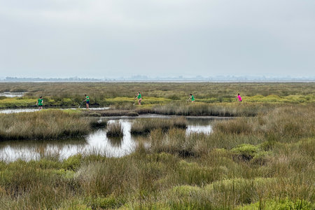 MURTOSA, PORTUGAL - CIRCA JUNE 2023: Tourists practicing stand up paddle on a walk through the channels of Ria de Aveiro. Tourism is a fundamental economic activity in Portugal.のeditorial素材