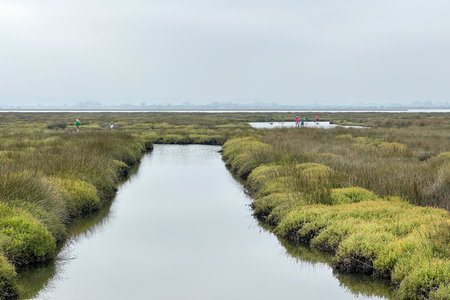 MURTOSA, PORTUGAL - CIRCA JUNE 2023: Tourists practicing stand up paddle on a walk through the channels of Ria de Aveiro. Tourism is a fundamental economic activity in Portugal.のeditorial素材
