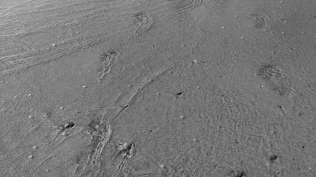Following footprints on Beach Shore at Low Angle. Black and white scene.