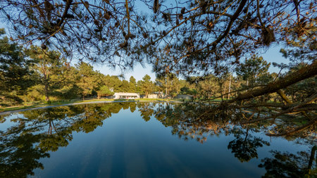 Scenic view of Bucaquinho Natural Park, Ovar, north of Portugal.の写真素材
