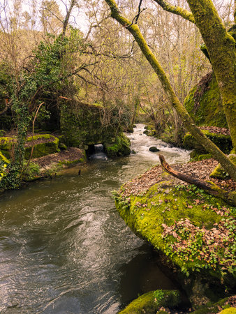 View over the Cavalo River along the Trilho dos Gaios in Tabua, Coimbra - Portugal.