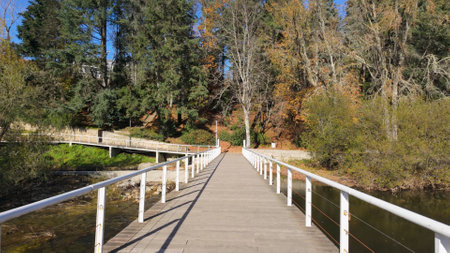 Hiker's point of view along the Corgo river city park in Vila Real, Portugal.の写真素材