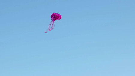 Kite fly on blue sky on the beach, sport during good weather, recreational activity by dayの写真素材