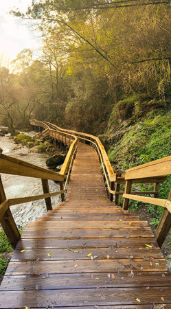 A wooden stairway descends to a winding walkway alongside a rushing river, bathed in warm sunlight near Cascata do Outeiro. The scene evokes a sense of peace and natural beauty in Oliveira de AzemÃ©is.の写真素材