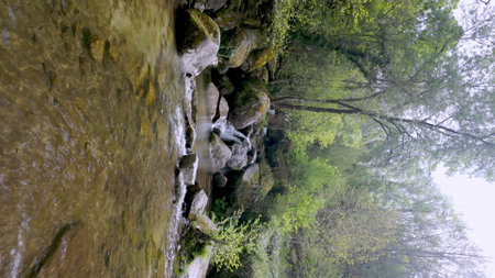 Small waterfall cascades over mossy rocks into a clear levada at Levadas de Jugueiros, surrounded by lush green trees under a soft, natural light.の写真素材