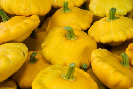Fresh yellow cymbling (custard marrow or squash)の写真素材
