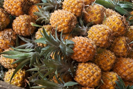 Assortment of fresh pineapple on market trayの写真素材