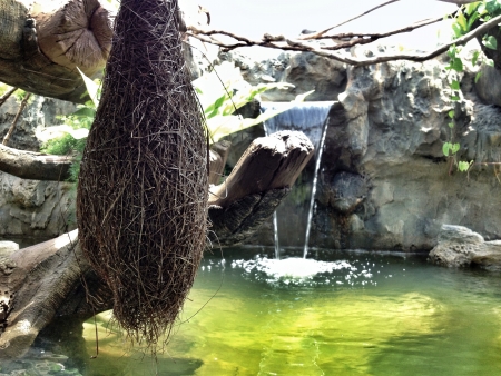 River sceneryの素材