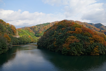 Autumn leavesの写真素材